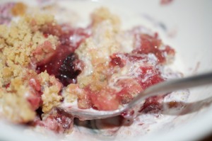 Spiced Damson, Apple and Blackberry Crumble