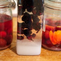 Blackberry, Damson and Orange Damson Gin Recipes
